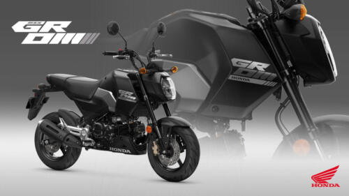25YM HONDA MSX125 GROM