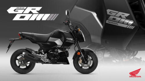 25YM HONDA MSX125 GROM