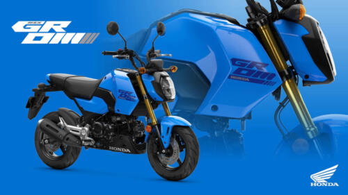 25YM HONDA MSX125 GROM
