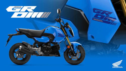 25YM HONDA MSX125 GROM