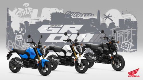 25YM HONDA MSX125 GROM