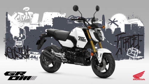 25YM HONDA MSX125 GROM