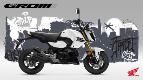 25YM HONDA MSX125 GROM