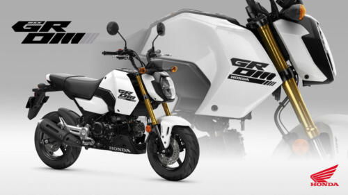 25YM HONDA MSX125 GROM