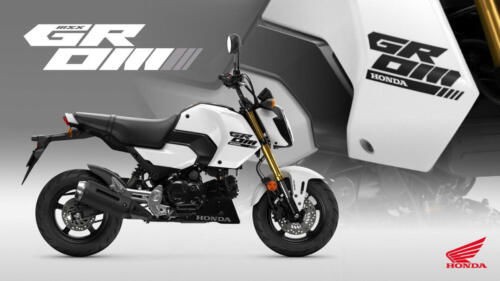 25YM HONDA MSX125 GROM