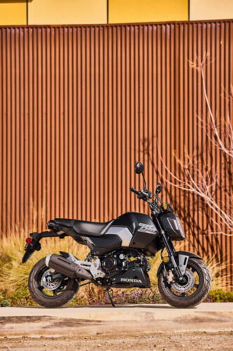 25YM HONDA MSX125 GROM