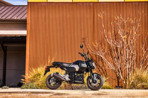 25YM HONDA MSX125 GROM