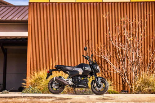 25YM HONDA MSX125 GROM