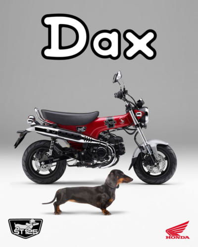 23YM HONDA ST125 DAX