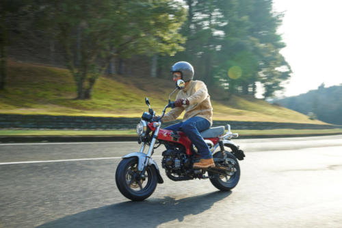 23YM HONDA ST125 DAX