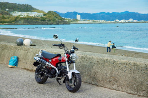 23YM HONDA ST125 DAX