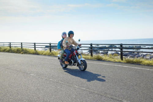 23YM HONDA ST125 DAX