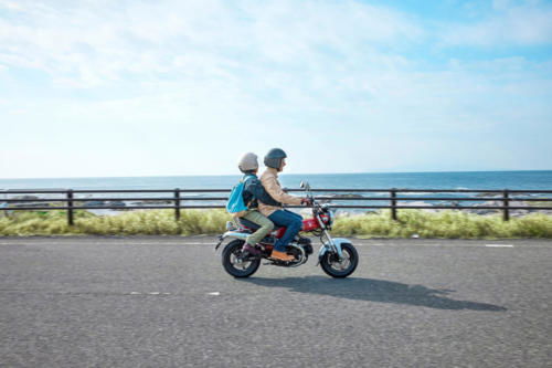 23YM HONDA ST125 DAX