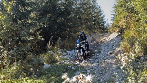 Husqvarna Norden 901 - 2024 (29)