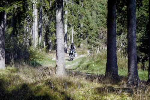 Husqvarna Norden 901 - 2024 (47)