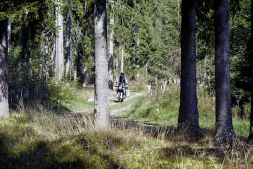 Husqvarna Norden 901 - 2024 (47)