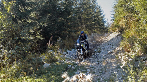 Husqvarna Norden 901 - 2024 (63)
