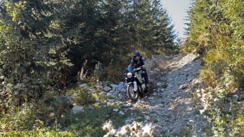 Husqvarna Norden 901 - 2024 (63)