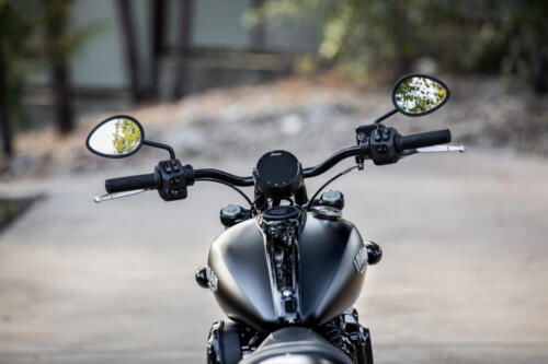 Indian Chief Dark Horse - 2025 (21)