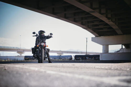 Indian Chief Dark Horse - 2025 (31)