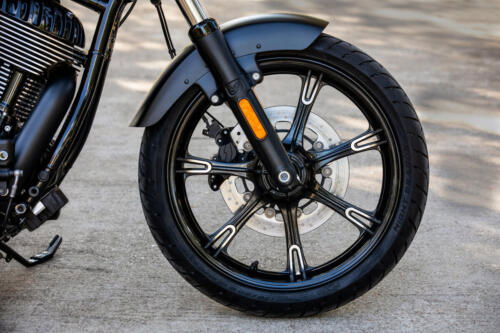 Indian Chief Dark Horse - 2025 (6)