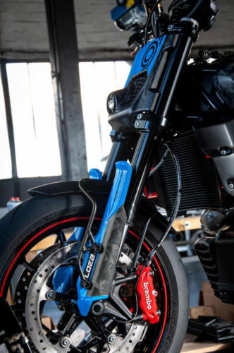 Indian FTR Loeb (10)