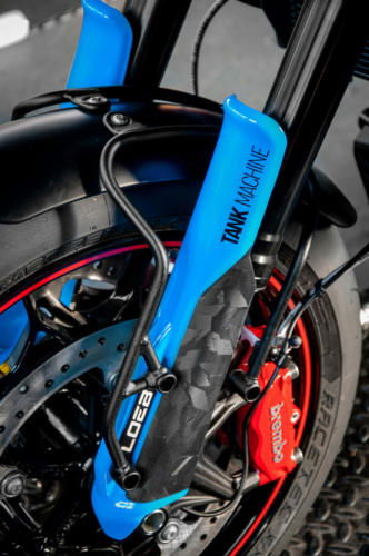 Indian FTR Loeb (11)