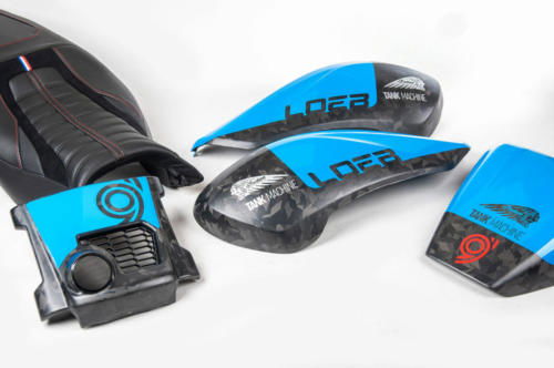 Indian FTR Loeb (12)