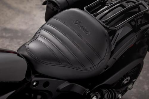 Indian Scout Rogue (14)
