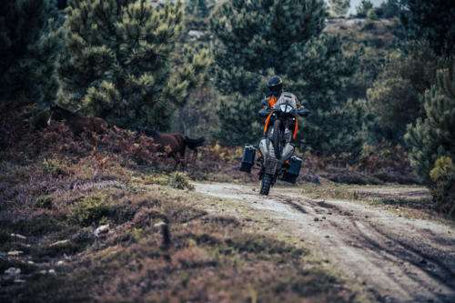 KTM 890 Adventure - 2023 (6)