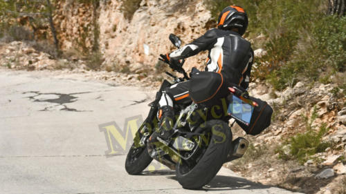 KTM 990 Duke - 2024 Erlkönig (5)