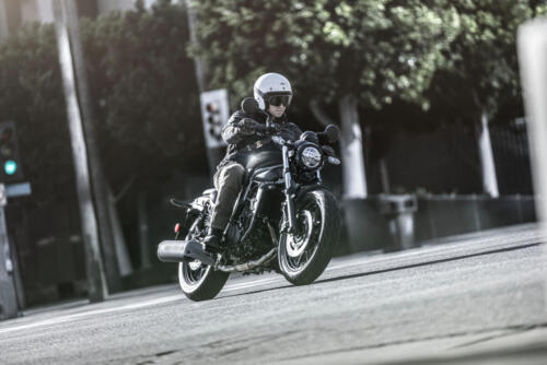 Kawasaki Eliminator 500 - 2024 (15)