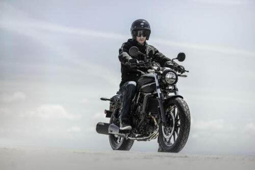 Kawasaki Eliminator 500 - 2024 (16)