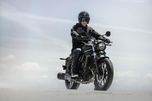 Kawasaki Eliminator 500 - 2024 (16)