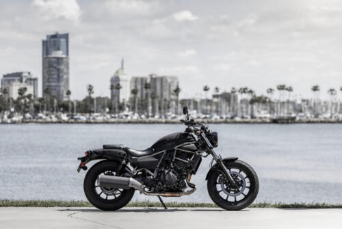 Kawasaki Eliminator 500 - 2024 (17)