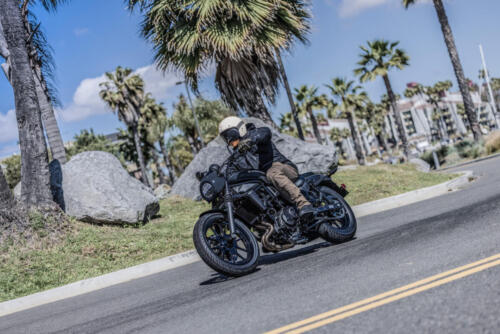 Kawasaki Eliminator 500 - 2024 (24)