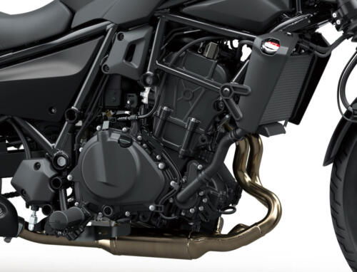 Kawasaki Eliminator 500 - 2024 (38)