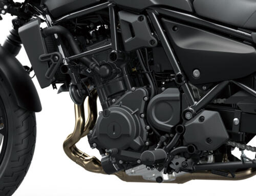Kawasaki Eliminator 500 - 2024 (39)