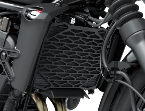 Kawasaki Eliminator 500 - 2024 (46)