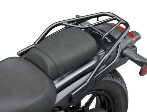 Kawasaki Eliminator 500 - 2024 (52)