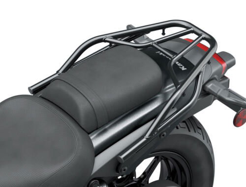 Kawasaki Eliminator 500 - 2024 (52)