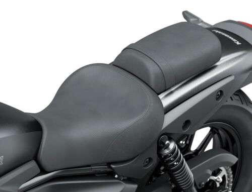 Kawasaki Eliminator 500 - 2024 (71)