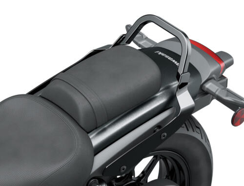 Kawasaki Eliminator 500 - 2024 (75)