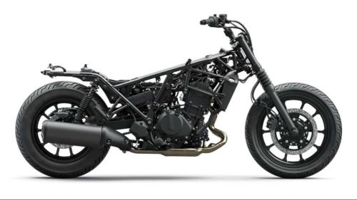 Kawasaki Eliminator SE 400 (20)