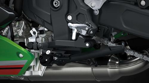 Kawasaki ZX-4RR KRT Edition (16)