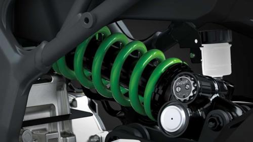 Kawasaki ZX-4RR KRT Edition (24)