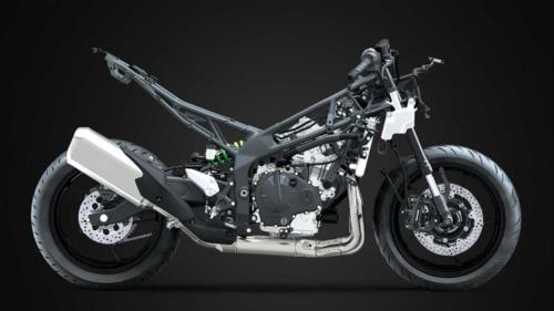 Kawasaki ZX-4RR KRT Edition (26)