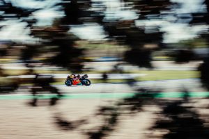 Brad Binder auf der Red Bull KTM RC16 als Mitzieher hinter Bäumen aufgenommen – MotoGP San-Marino-GP Misano 2026