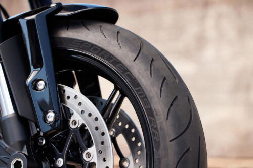 OE_SpeedTwin1200_MY25_002393_JP