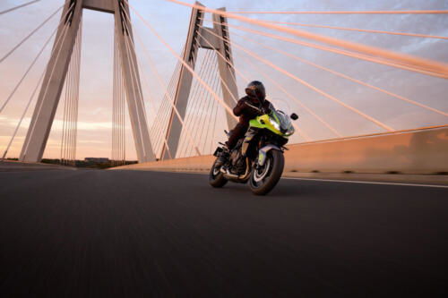 OE_TigerSport660_MY25_00559_JP